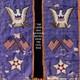 1900's Antique Sioux Beaded Horse Martingale Indian Old Costume PATRIOTIC