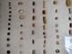 Ancient Hopewell Native American Bead Collection from the Mackinaw River