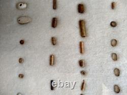 Ancient Hopewell Native American Bead Collection from the Mackinaw River