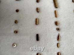 Ancient Hopewell Native American Bead Collection from the Mackinaw River