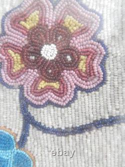 Antique Ojibway Beaded Bandolier Bag / Pouch Professionally Framed