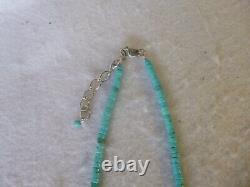 Awesome Turquoise and 925 Silver Bear Claw Native American Southwestern Necklace