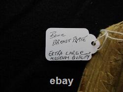 Huge Beaded Breast Plate, Native American Bone Pipe Breast Plate, Sd-042307621