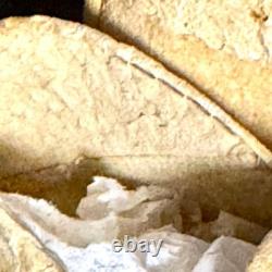 NATIVE AMERICAN BEADED CHEYENNE CHILD MOCCASINS w SEED BEADED LIZARD, VTG