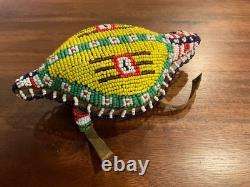 Native American Beaded Animal, Fetish, with Traditional Symbols, Free Shipping