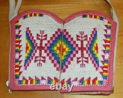 Native American Beaded Regalia Powwow Pink/blue Dance Outfit Free Shipping