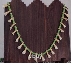 Native American Buffalo Teeth Leather Lace Strung Trade Bead Necklace Rare Atq Native American Buffalo Teeth Leather Lace Strung Trade Bead Necklace Rare Atq
