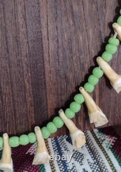 Native American Buffalo Teeth Leather Lace Strung Trade Bead Necklace Rare Atq