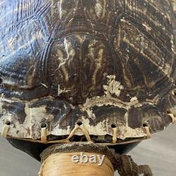 Native American Ceremonial Turtle Rattle with Bead & Bone Accent Wooden Handle