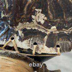 Native American Ceremonial Turtle Rattle with Bead & Bone Accent Wooden Handle