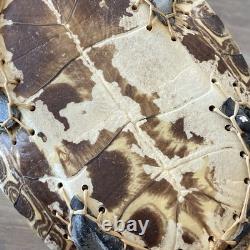 Native American Ceremonial Turtle Rattle with Bead & Bone Accent Wooden Handle