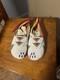 Native American Genuine Beaded Moccasins