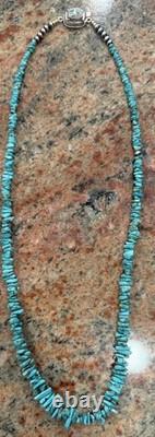 Native American Rare Carico Lake Turquoise Necklace, Polished, Navajo SS