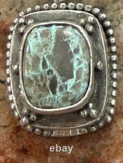 Native American Rare Carico Lake Turquoise Necklace, Polished, Navajo SS