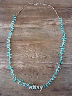 Native American Santo Domingo Turquoise Heishi 31 Necklace Eileen Coriz