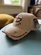 Native Pride Hat Cap New Beads Native American Beadwork Native Beaded Hat