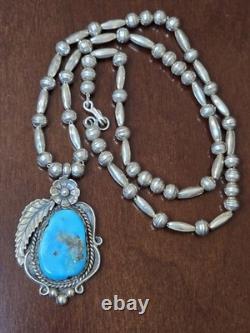 Native Squash Turquoise Necklace Beads