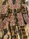 RARE Native American WHIRLING LOGS Flapper Handmade Antique Beaded Necklace W@W