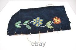 VTG Native American Cree Athabaskan Moss Bag beaded Cradleboard Beadwork Papoose