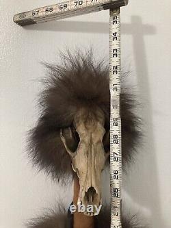 Vintage NATIVE AMERICAN MEDICINE STICK with Skull, Horns, Feathers and Beads 32 in