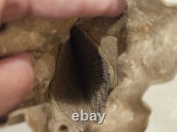 Vintage Native American Indian Suede Beaded Floral Medicine/Tobacco Bag Damaged