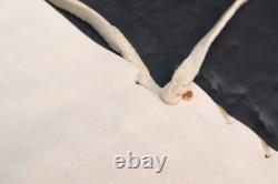 Vtg Native American Sioux Beaded Leather Tobacco Bag, Medicine Pouch Atq